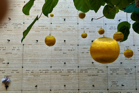 2020-01-02 15.41.37.jpeg