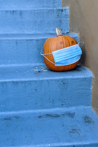 2020-11-10 15.57.34.jpeg