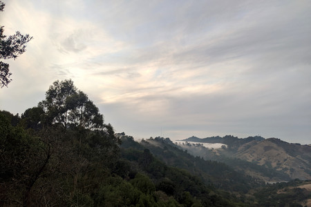 2019-11-13 16.52.22.jpeg