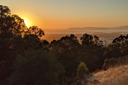 2019-11-22 16.40.55.jpeg