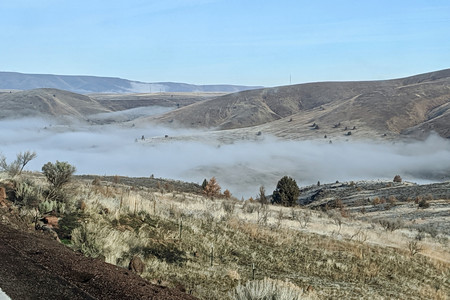 2019-12-24 10.14.33.jpeg