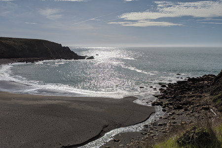 2020-01-31 11.24.11.jpeg