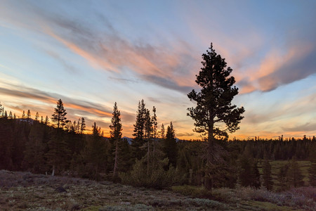 2020-06-18 20.32.18.jpeg