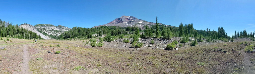 2020-08-19 14.53.21.jpeg