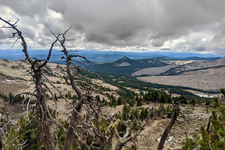 2020-08-21 14.55.17.jpeg