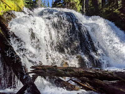 2020-08-22 09.50.29.jpeg