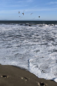 2020-09-26 17.37.40.jpeg