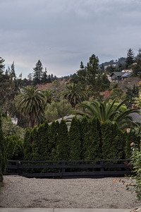 2020-11-22 14.26.54.jpeg