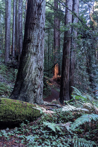 2020-12-20 13.39.37.jpeg