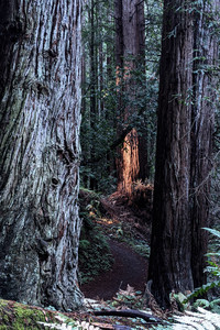 2020-12-20 13.39.46.jpeg