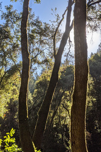 2020-12-20 13.53.31.jpeg