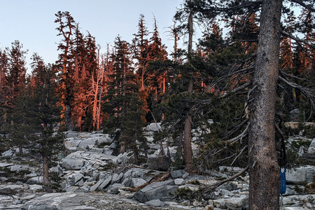 2021-06-14 20.25.01.jpeg