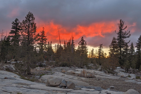 2021-06-14 20.31.16.jpeg