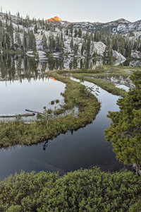 2021-06-15 20.20.55.jpeg