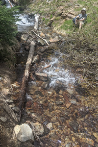 2021-06-16 13.17.49.jpeg