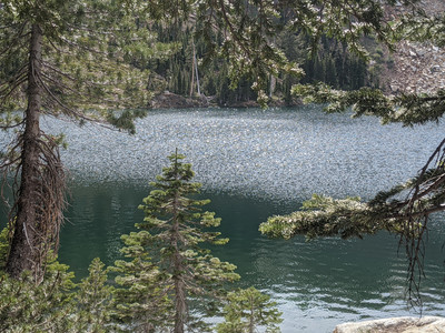 2021-06-16 16.23.29.jpeg