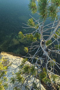 2021-06-17 06.25.20.jpeg