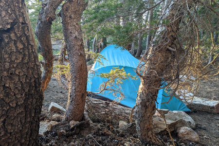 2021-06-18 06.11.28.jpeg