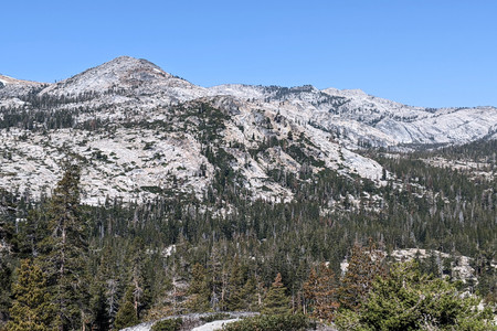 2021-06-18 10.16.14.jpeg