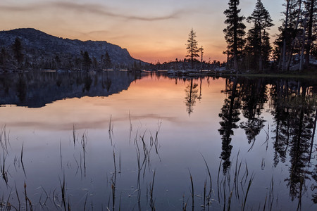 2021-06-19 05.13.39.jpeg