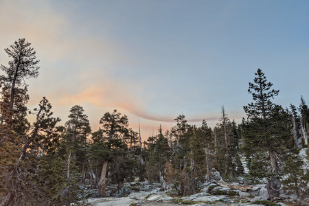 2021-06-19 05.47.34.jpeg