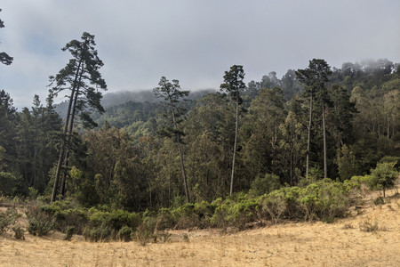 2021-07-20 09.15.45.jpeg