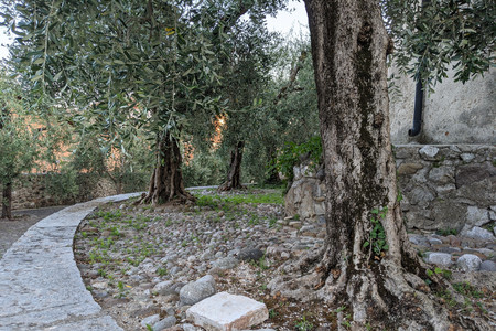 2021-07-28 19.57.31.jpeg