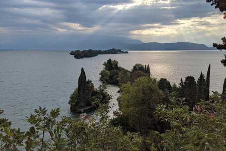 2021-08-01 08.06.59.jpeg