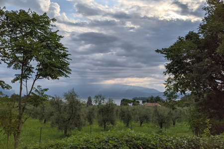 2021-08-01 08.14.37.jpeg