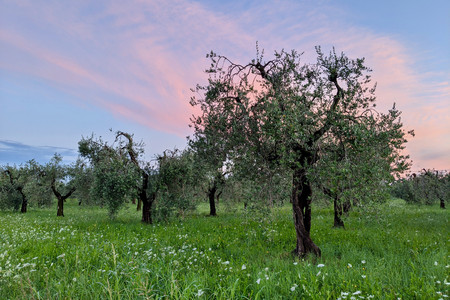 2021-08-01 20.49.50.jpeg