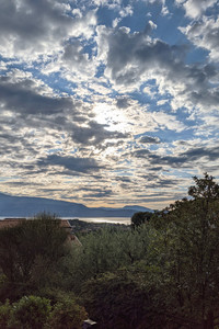 2021-08-02 07.54.20.jpeg