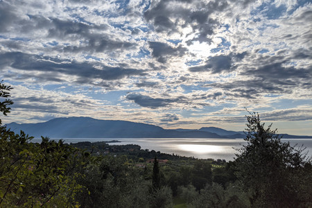 2021-08-02 08.10.34.jpeg