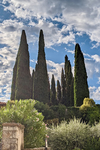 2021-08-02 08.25.36.jpeg