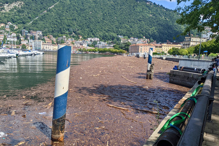 2021-08-02 14.28.31.jpeg