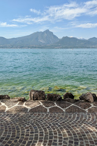 2021-08-10 14.41.23.jpeg