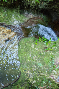 2021-08-15 11.39.31.jpeg