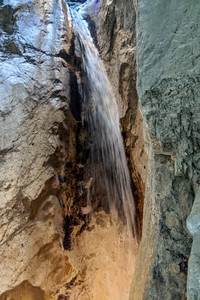 2021-08-15 12.00.26.jpeg