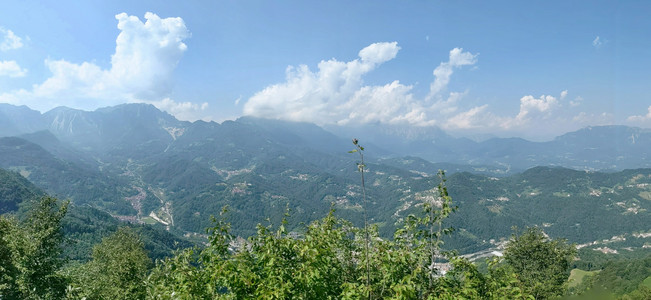 2021-08-15 14.59.54.jpeg