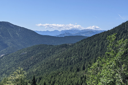 2021-08-17 12.39.35.jpeg