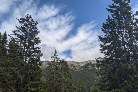 2021-08-17 15.10.39.jpeg