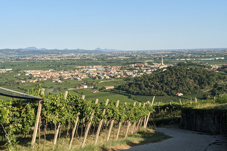 2021-08-18 18.06.33.jpeg