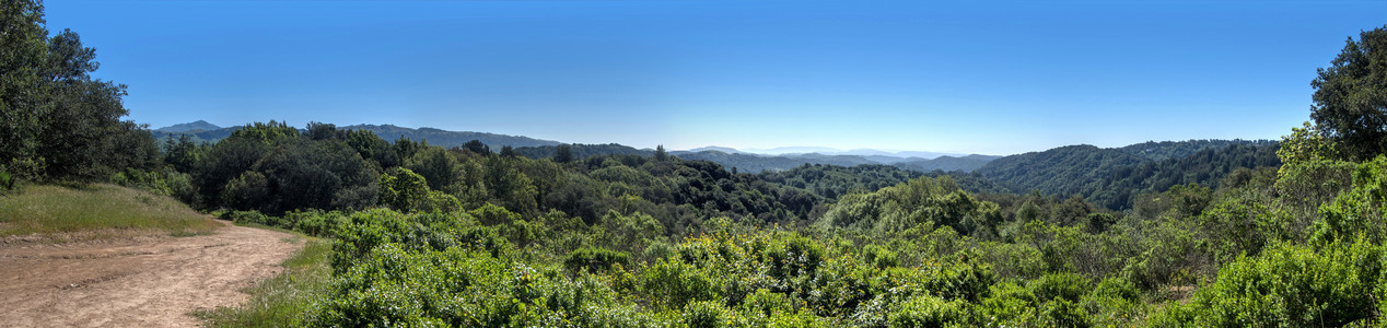 P1110154_HDR - P1110163_HDR_gimp.jpeg