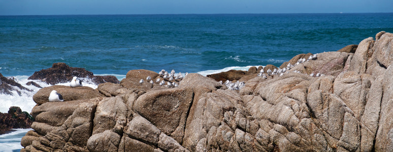 P1160656 - P1160657.jpeg