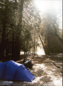 yosemite-camp.jpeg