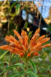 2020-01-02 16.32.06.jpeg