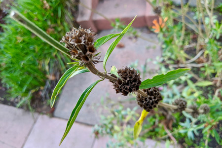 2020-01-02 16.32.49.jpeg