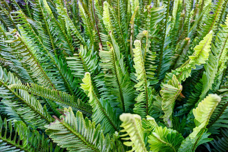 2020-01-02 16.33.22.jpeg