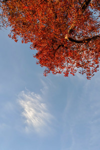 2020-01-02 16.41.54.jpeg