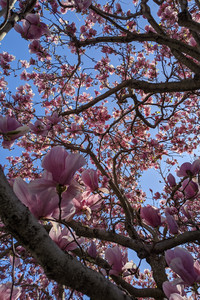 2020-02-22 10.51.14.jpeg