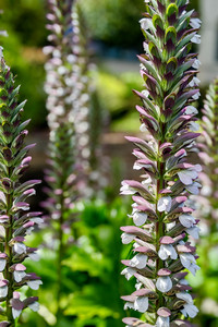 2020-05-19 15.23.09-2.jpeg